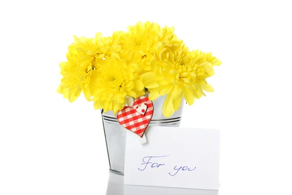 Жовті хризантеми в паузі — стокове фото
