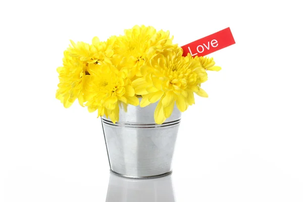 Crisântemos amarelos em um balde — Fotografia de Stock