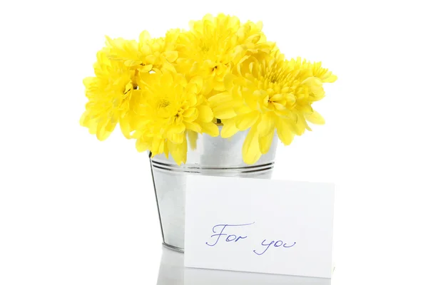 Gelbe Chrysanthemen im Eimer — Stockfoto