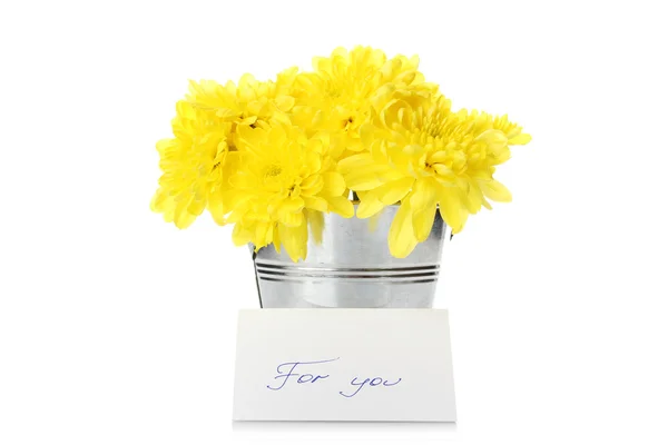 Yellow chrysanthemums in a pail Stock Photo