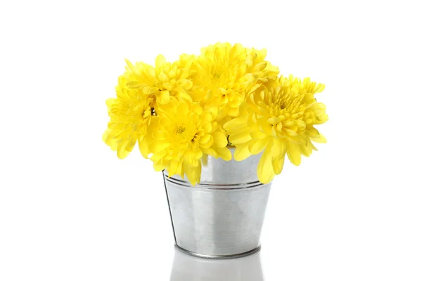Желтые хризантемы в ведре — стоковое фото