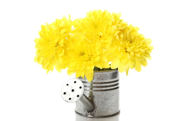 喷壶与黄色的花朵 — 图库照片