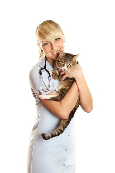 수 의사와 고양이 — 스톡 사진
