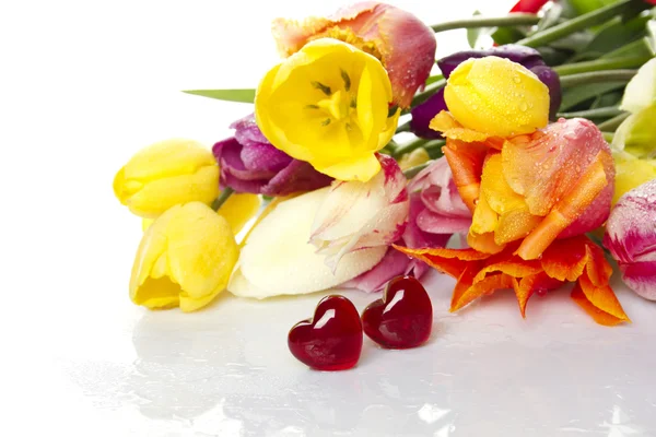 Тюльпани і дві червоні Чирви — стокове фото
