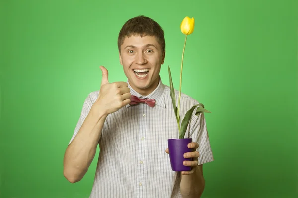 Mann hält eine Tulpe in einem Topf — Stockfoto
