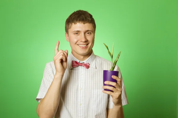 Man observes cultivation of young plants — Stock Photo, Image