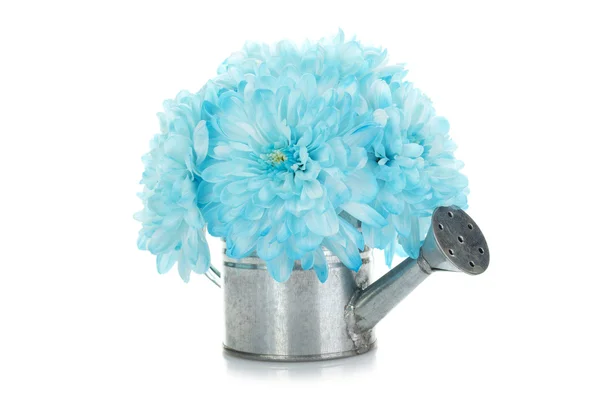 Regadera con flores azules — Foto de Stock