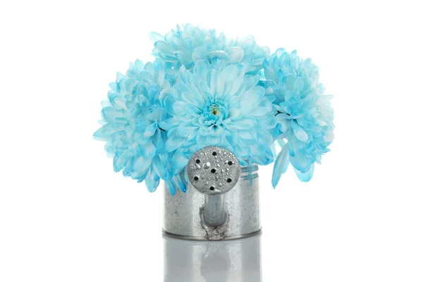 Gießkanne mit blauen Blumen — Stockfoto
