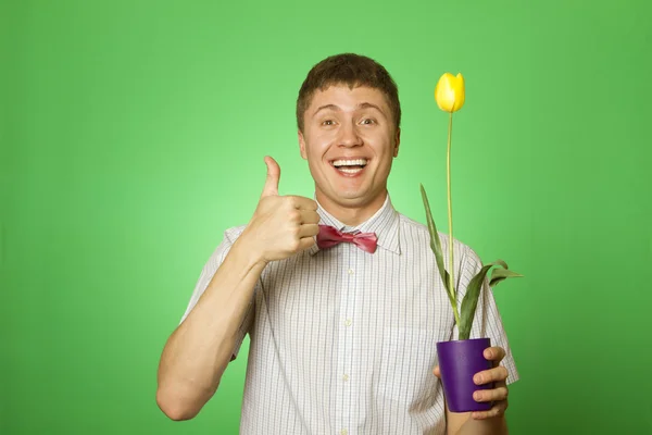 Hombre sosteniendo un tulipán crecido en una olla —  Fotos de Stock