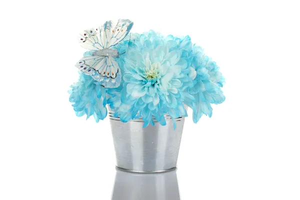 在一桶水蓝色菊花 — 图库照片