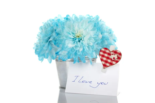 Blue chrysanthemums in a pail Royalty Free Stock Photos