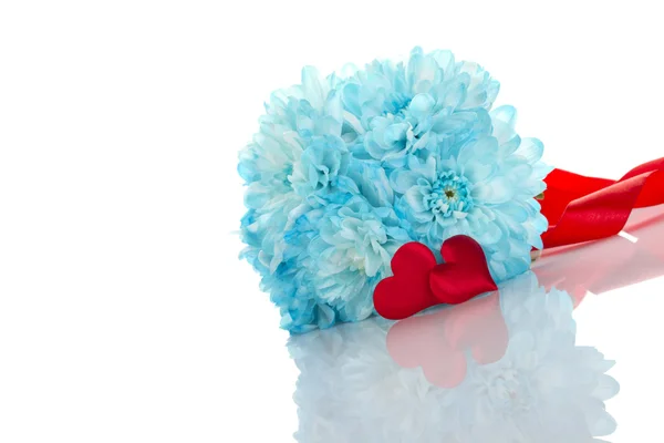 Niebieski chryzantemy z dwa czerwone serca — Zdjęcie stockowe