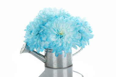 Watering can with blue flowers clipart