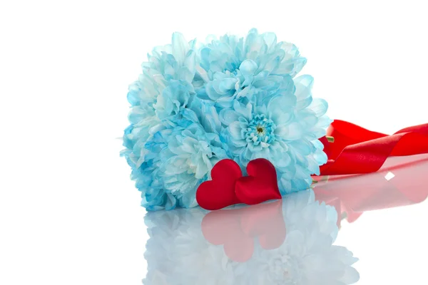Блакитні хризантеми з двома червоними серцями — стокове фото