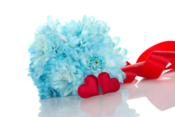 Blaue Chrysanthemen mit zwei roten Herzen — Stockfoto