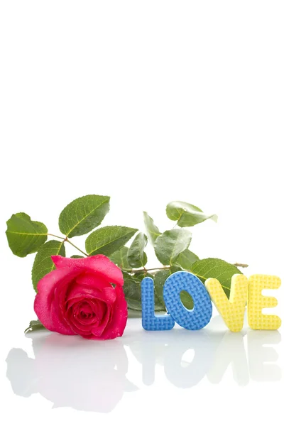 빨간 장미와 사랑"의 텍스트" — 스톡 사진