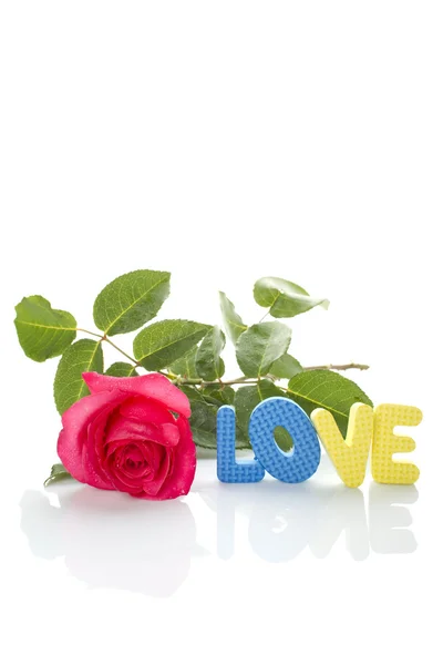 Červená růže a text "láska" — Stock fotografie