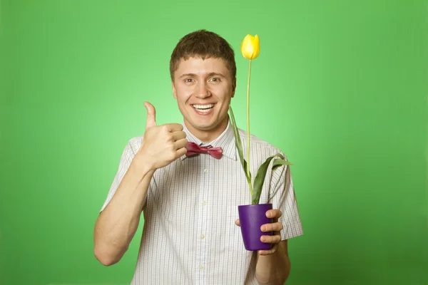 Man holding a tulip grown in a pot — Stock Photo, Image