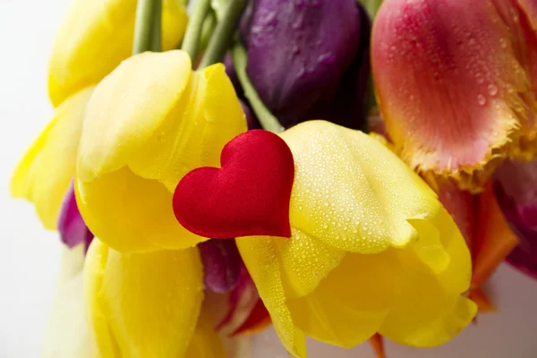 Tulips and red heart — Stock Photo, Image