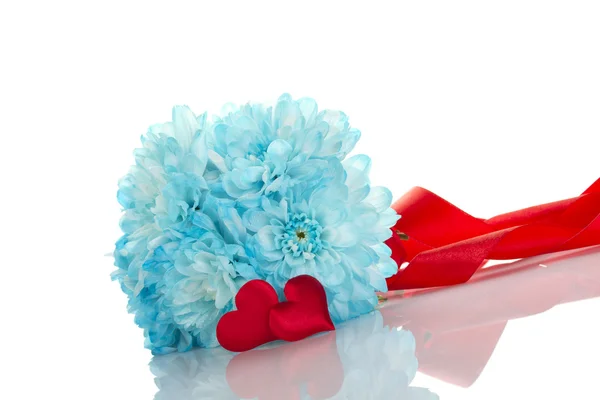 Modré chryzantémy se dvěma červené srdce — Stock fotografie