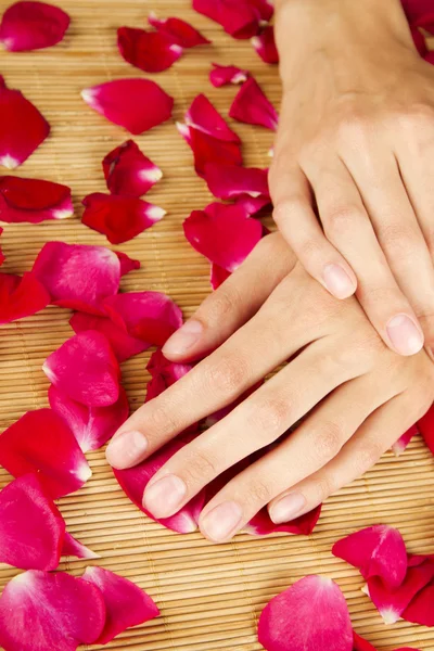 Hands on rose petals — Stock Photo, Image