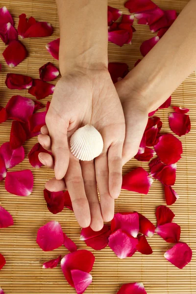 Mani sui petali di rosa — Foto Stock