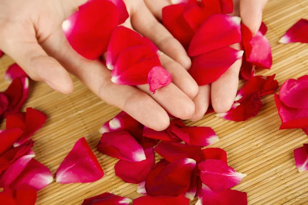Handen op rozenblaadjes — Stockfoto