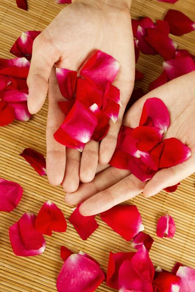 Handen op rozenblaadjes — Stockfoto