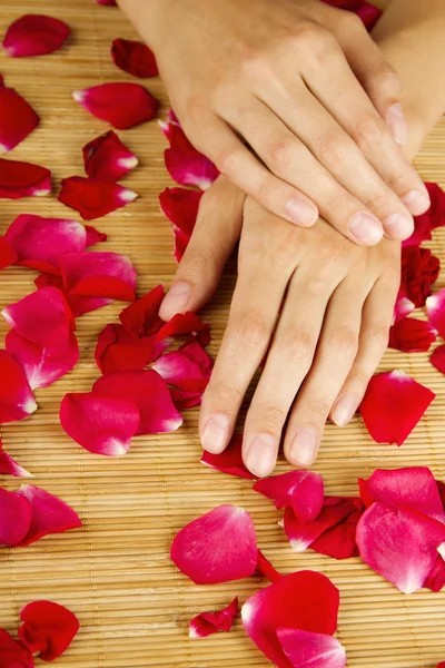 Hands on rose petals Royalty Free Stock Photos