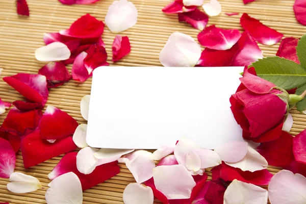 Cartão e rosas — Fotografia de Stock