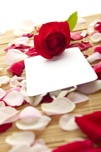 Cartão e rosas — Fotografia de Stock