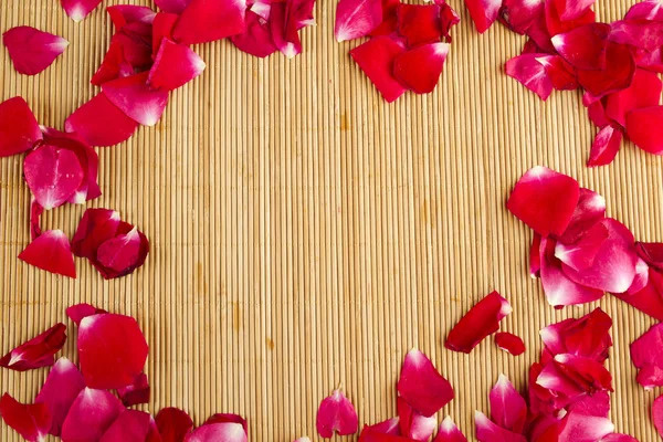 Cornice petalo di rosa — Foto Stock