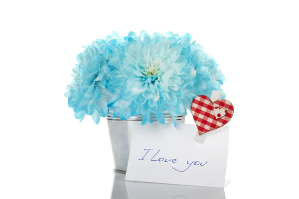 Blue chrysanthemums in a pail Stock Picture