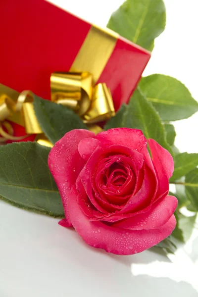 Kırmızı gül, hediye kutusu — Stok fotoğraf