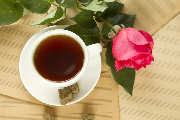 En kopp te och rose — Stockfoto