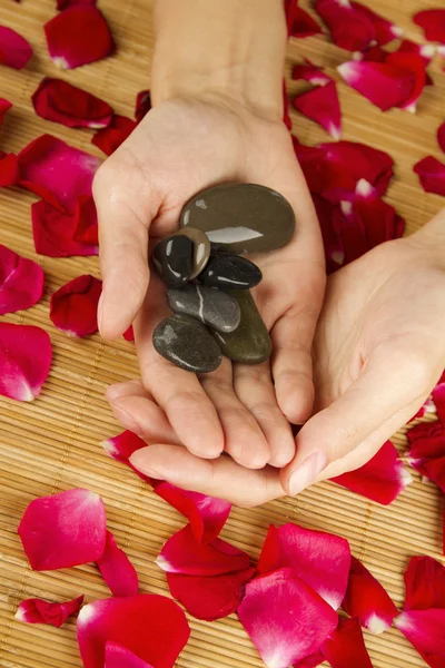 Hands on rose petals — Stock Photo, Image