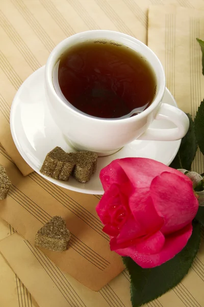 Bir fincan çay ve gül — Stok fotoğraf