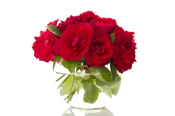 Ramo de rosas rojas —  Fotos de Stock