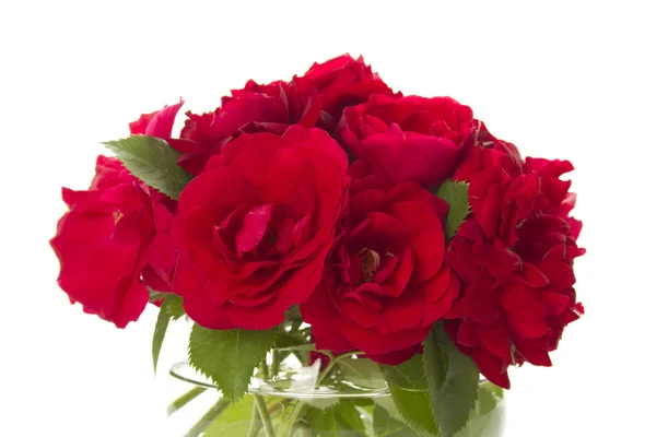 Bouquet of red roses Royalty Free Stock Photos