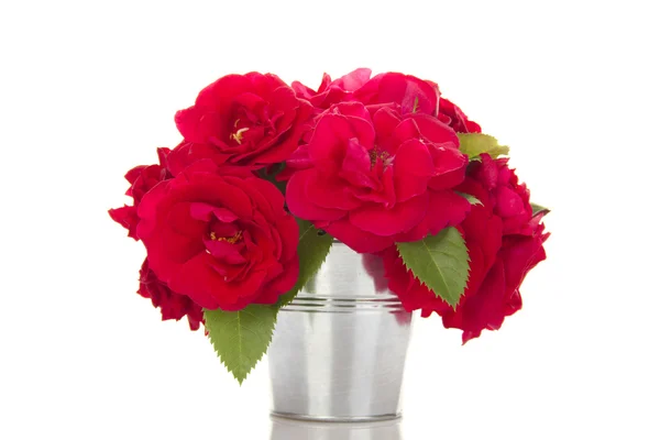 Червоні троянди в у відро — стокове фото