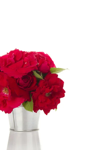 Κόκκινα τριαντάφυλλα σε ένα κουβαδάκι — Φωτογραφία Αρχείου