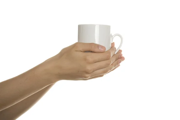 Λευκό Κύπελλο στα γυναικεία χέρια — Φωτογραφία Αρχείου