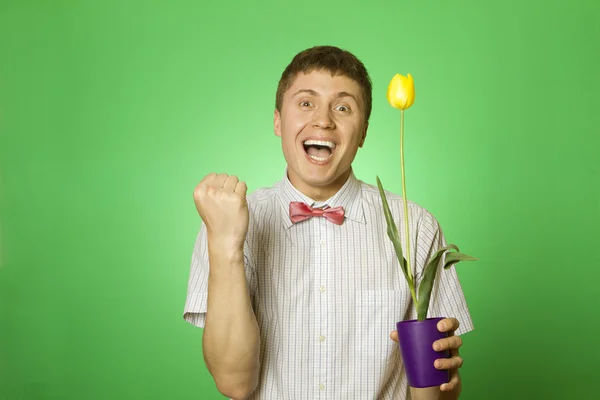 Mann hält eine Tulpe in einem Topf — Stockfoto