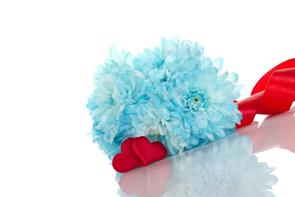 Crisantemos azules con dos corazones rojos —  Fotos de Stock