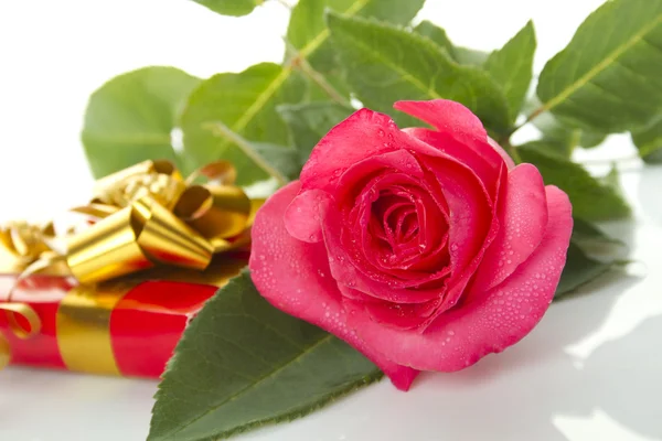 Κόκκινο τριαντάφυλλο, κιβώτιο δώρων — Φωτογραφία Αρχείου