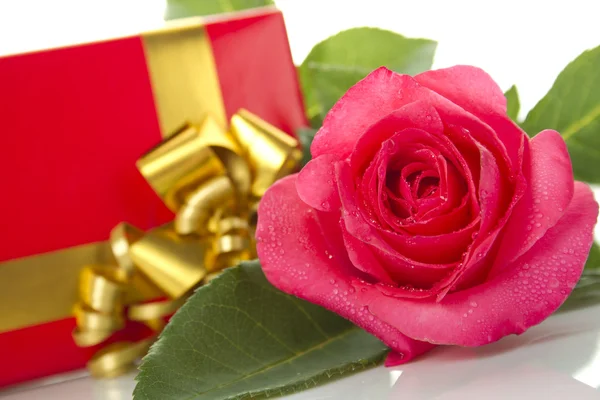 Rote Rose, Geschenkbox — Stockfoto