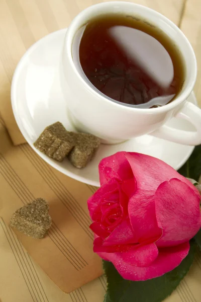 En kopp te och rose — Stockfoto