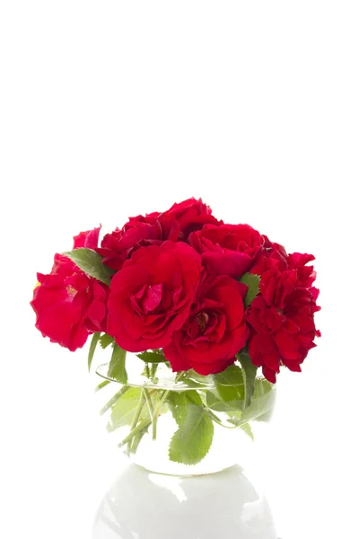 Аромат красных роз — стоковое фото