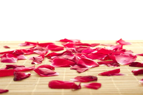 Rote Rosen und Blütenblätter — Stockfoto