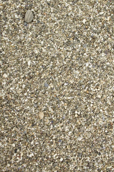 Pebbles on the beach — Stock Photo, Image